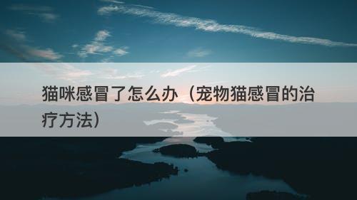 猫咪感冒了怎么办（宠物猫感冒的治疗方法）