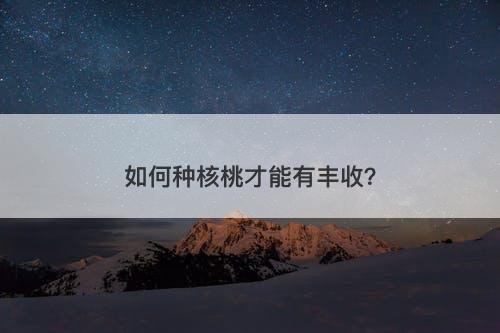 如何种核桃才能有丰收?-图1 如何种核桃才能有丰收?-图1