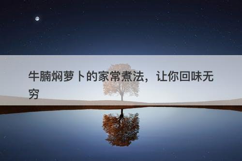 牛腩焖萝卜的家常煮法，让你回味无穷