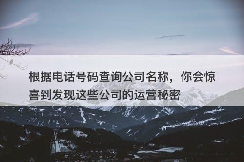 根据电话号码查询公司名称，你会惊喜到发现这些公司的运营秘密