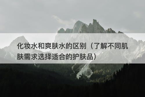 化妆水和爽肤水的区别（了解不同肌肤需求选择适合的护肤品）