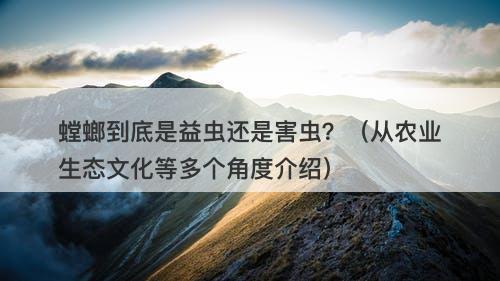螳螂到底是益虫还是害虫？（从农业生态文化等多个角度介绍）-图1