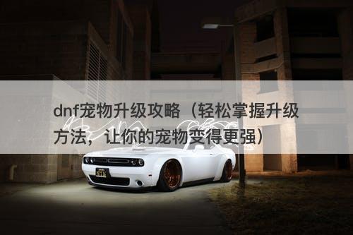 dnf宠物升级攻略（轻松掌握升级方法，让你的宠物变得更强）