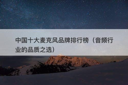 中国十大麦克风品牌排行榜（音频行业的品质之选）-图1