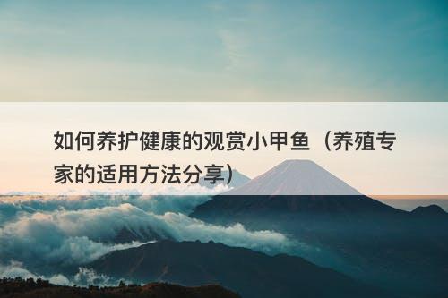 如何养护健康的观赏小甲鱼（养殖专家的适用方法分享）