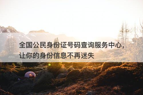 全国公民身份证号码查询服务中心，让你的身份信息不再迷失-图1