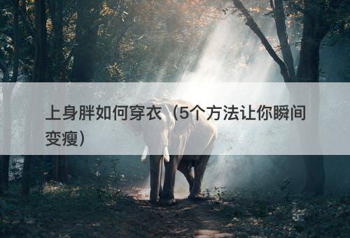 上身胖如何穿衣（5个方法让你瞬间变瘦）