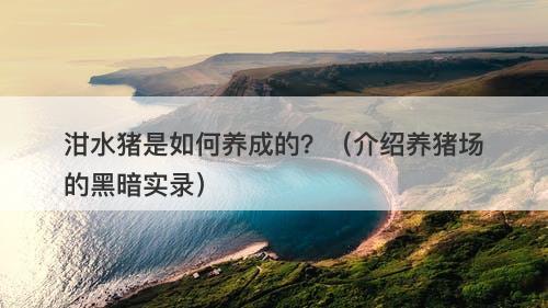 泔水猪是如何养成的？（介绍养猪场的黑暗实录）