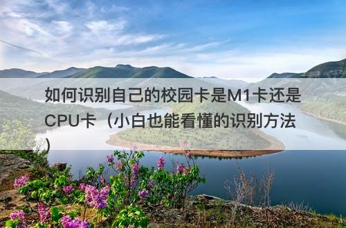 如何识别自己的校园卡是M1卡还是CPU卡(小白也能看懂的识别方法)-图1 如何识别自己的校园卡是M1卡还是CPU卡(小白也能看懂的识别方法)-图1