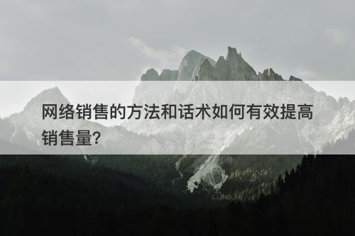 网络销售的方法和话术如何有效提高销售量？