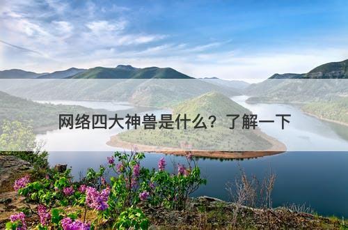 网络四大神兽是什么？了解一下