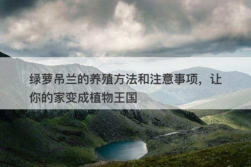 绿萝吊兰的养殖方法和注意事项，让你的家变成植物王国