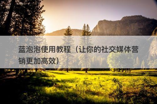 蓝泡泡使用教程（让你的社交媒体营销更加高效）