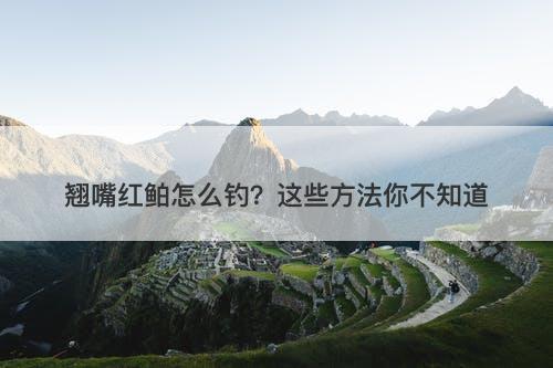 翘嘴红鲌怎么钓？这些方法你不知道