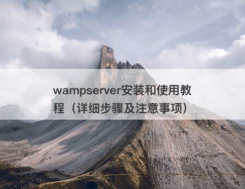 wampserver安装和使用教程（详细步骤及注意事项）