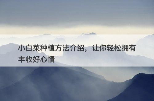 小白菜种植方法介绍，让你轻松拥有丰收好心情