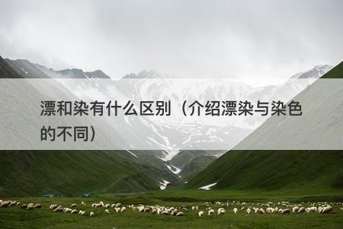 漂和染有什么区别（介绍漂染与染色的不同）
