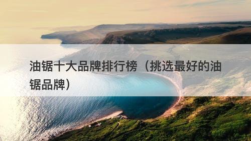 油锯十大品牌排行榜（挑选最好的油锯品牌）