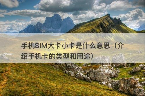 手机SIM大卡小卡是什么意思（介绍手机卡的类型和用途）
