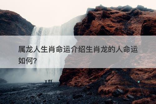 属龙人生肖命运介绍生肖龙的人命运如何？