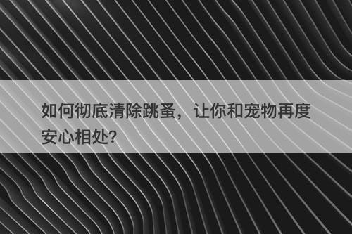 如何彻底清除跳蚤，让你和宠物再度安心相处？
