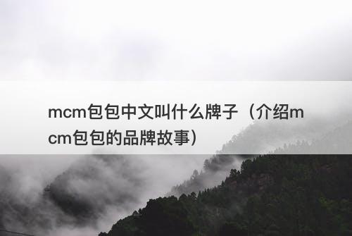 mcm包包中文叫什么牌子（介绍mcm包包的品牌故事）
