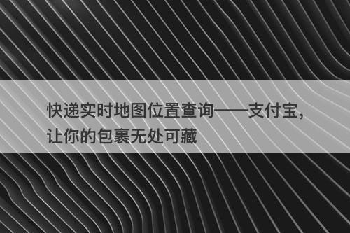 快递实时地图位置查询——支付宝，让你的包裹无处可藏