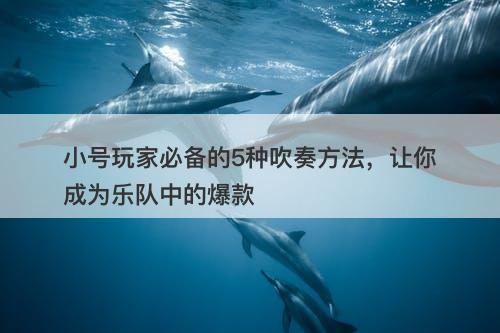 小号玩家必备的5种吹奏方法，让你成为乐队中的爆款