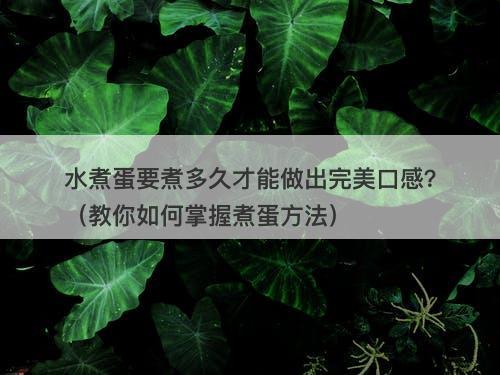 水煮蛋要煮多久才能做出完美口感？（教你如何掌握煮蛋方法）