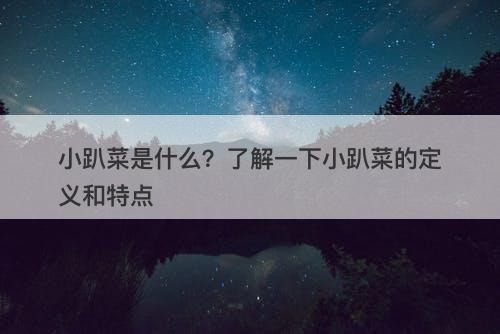 小趴菜是什么？了解一下小趴菜的定义和特点