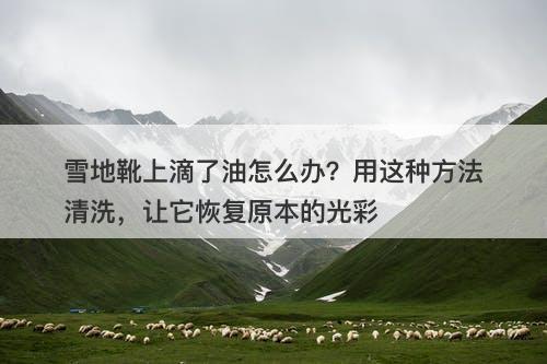 雪地靴上滴了油怎么办？用这种方法清洗，让它恢复原本的光彩