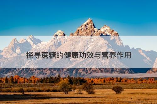 探寻蔗糖的健康功效与营养作用