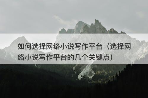 如何选择网络小说写作平台（选择网络小说写作平台的几个关键点）