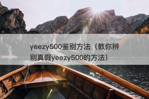 yeezy500鉴别方法（教你辨别真假yeezy500的方法）
