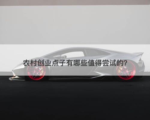 农村创业点子有哪些值得尝试的？