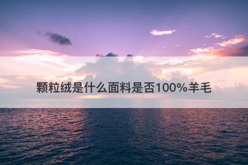 颗粒绒是什么面料是否100%羊毛
