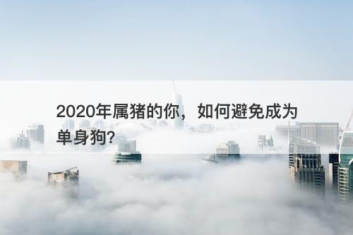2020年属猪的你，如何避免成为单身狗？