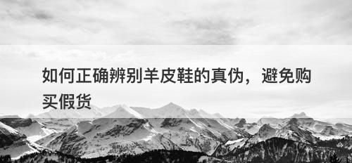 如何正确辨别羊皮鞋的真伪，避免购买假货