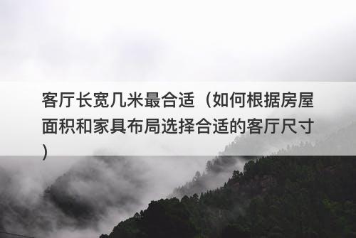 客厅长宽几米最合适（如何根据房屋面积和家具布局选择合适的客厅尺寸）