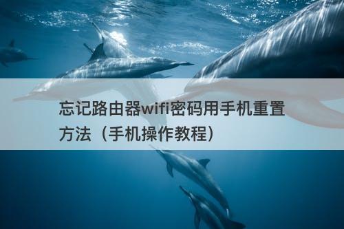 忘记路由器wifi密码用手机重置方法（手机操作教程）