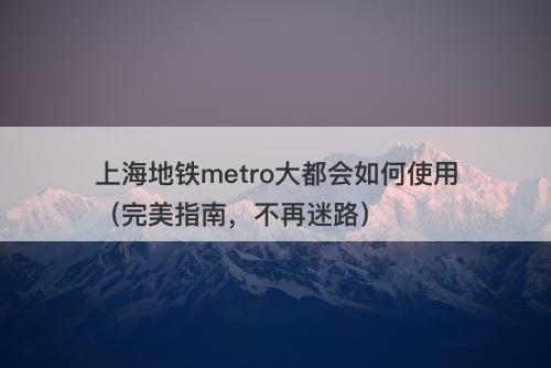 上海地铁metro大都会如何使用（完美指南，不再迷路）