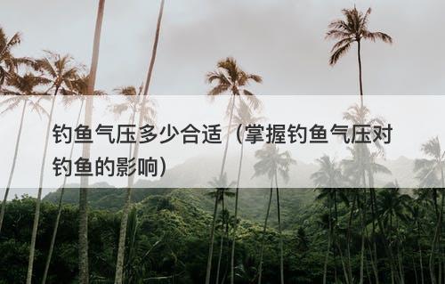 钓鱼气压多少合适（掌握钓鱼气压对钓鱼的影响）