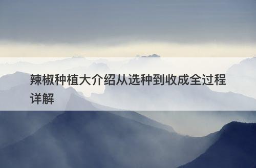 辣椒种植大介绍从选种到收成全过程详解