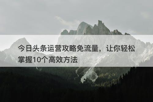 今日头条运营攻略免流量，让你轻松掌握10个高效方法
