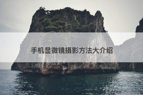 手机显微镜摄影方法大介绍