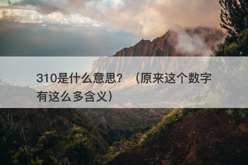 310是什么意思？（原来这个数字有这么多含义）