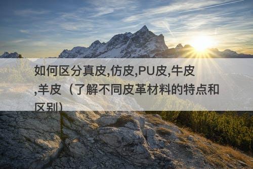 如何区分真皮,仿皮,PU皮,牛皮,羊皮（了解不同皮革材料的特点和区别）