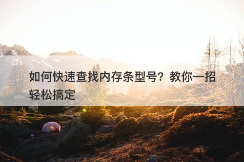 如何快速查找内存条型号？教你一招轻松搞定