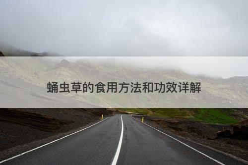 蛹虫草的食用方法和功效详解