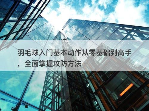 羽毛球入门基本动作从零基础到高手，全面掌握攻防方法